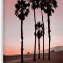 Stupell Industries Stanta Monica Palms Pink Canvas Wall Art design by Natalie Carpentieri, 45 x 30