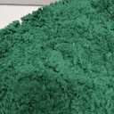 MIULEE Dark Green Bathroom Rugs Set 2 Piece, Soft Absorbent Microfiber Bath Mat Set, Non Slip Quick Dry Machine Washable Plush Shaggy Bath Rugs for Bathroom Floor, Tub and Shower, 20"x30"+16"x24"