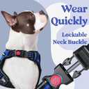 Rabbitgoo Dog Harness Medium Sized, No Pull Pet Harness with 3 Buckles, Adjustable Soft Padded Vest with Control Handle, Walking Reflective Pet Vest for Medium Dogs, Blue, M