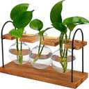 Plant Terrarium with Wooden Stand, The Ultimate Gift for Plant Lovers, Propagation Station with Retro Glass Bulbs, Creating a Stunning Tabletop Display of Hydroponic Greenery in Any Home or Office