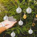 30 PCS Iridescent Ornaments Balls,2.36 Inch Clear Christmas Rainbow Ball,Plastic Hanging Bubble Ornaments Balls for Christmas Tree,Party,Home Decor