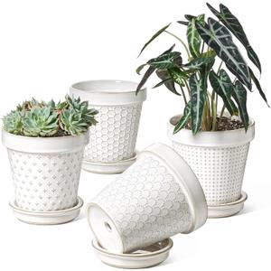 LE TAUCI Ceramic Plant Pots, 6 Inch Flower Pot with Drainage Hole & Saucer, Embossed Planter Pots for Indoor Plant Succulent, Orchid, Cactus, Home Decor - Set of 4, Arctic White