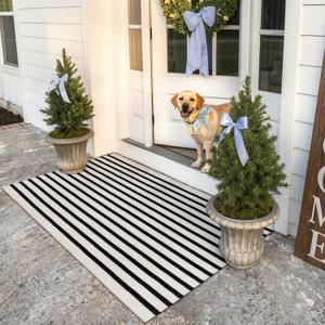 Collive Black and White Rug 3x5, Washable Outdoor Rug for Porch Cotton Woven Farmhouse Indoor Outdoor Rugs, Layered Welcome Door Mat, Floor Throw Carpet for Spring Front Door Decor Kitchen