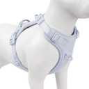 No Pull Dog Harness, Puppy Vest with Front Clip for Small Medium Large Sized Dog(Light Blue,S) (S(Neck:15.7-22.0", Chest:17.3-24.8"))