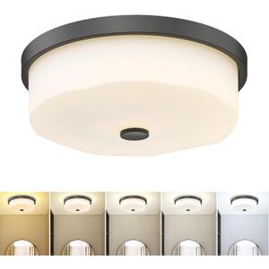 25W LED Flush Mount Ceiling Light with Remote Control, 16'' Modern Ceiling Light Fixture, Milk Glass 3000K-6500K 5CCT Ceiling Light Fixture for Bedroom Kitchen Dining Room Hallway Entryway (No.10F)