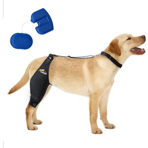 Dog Knee Brace for Torn ACL, Airbag Design for Joint Pain Relief, Ligament Injuries, Osteoarthritis, Rear Leg Limp, etc(Right Leg,L)