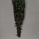Real Eucalyptus Stems Greenery Decor 20PCS 17" Dried Willow Eucalyptus Plant Preserved Greenery Stems for Home Vase Filler Wedding Flowers Arrangement Spring Mother's Day Decorations