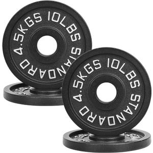 2" Cast Iron Weight Plates | 2.5LB to 45LB Standard Gym Plates (Singles, Pairs & Multi-Pack Sets) | Black with Silver Numbers for Barbell, Dumbbell, Powerlifting & Home Gym, 40 Lbs Only (4 10Lbs Plates)