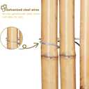 4FT x 6FT Natural Bamboo Fence Roll, Outside Bamboo Privacy Fencing, Natural Privacy Screen Panels for Garden, Outdoor
