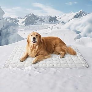 Bedsure Cooling Mat for Large Dogs – 48x30 Inch Washable Cooling Pet Pad for Puppy, XXL Portable Kennel Puppy Bed for Summer, Non-Slip Summer Crate Pad for Big Dog Up to 100 lbs