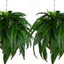 QIANYUN Outdoor Artificial Plants-2PCS Artificial Outdoor Hanging Fern Faux Greenery UV Resistant Plastic Plants for Front Porch Living Room Garden Decor- Including Hanging Planters (Dark Green)