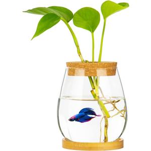 Desktop Fish Bowl Clear Glass Small Fish Tank with Wood Lid and Bamboo Stand for Betta Fish Plants Terrarium Home Office Decoration Gifts