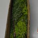 Christmas Cedar Garland Artificial Realistic Green Faux Real Touch Winter Pine Garland for Mantle Fireplace Wall Table Indoor Outdoor Decoraiton 5FT