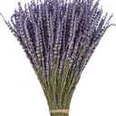 June Fox Dried Lavender Flowers 270-300 Stems 100 Natural Dried Lavender Bunches for Home Decoration, Home Fragrance, Handmade Soap Flower