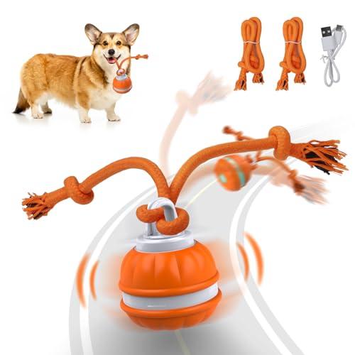 Salodal Peppy Pet Ball for Dogs, Dog Interactive Toys,Motion Activate Rolling Ball for Puppy/Small Dogs, Automatic Moving Toy,USB Rechargeable