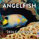 10 x Angelfish Calendar 2026 Angel Fish Monthly Wall Calender 12 Month Tropical Fish Gifts | American Made In The USA