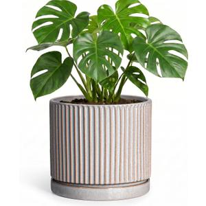 8 Inch Plant Pots, Ceramic Flower Pot, Round Planter with Tray, Grey