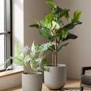 LE TAUCI 12 Inch Pots for Plants, Ceramic Large Planters for Indoor Plants, Indoor Plant Pots for Home Garden Patio Office, Planter Pots with Drainage Hole and Rubber Plug, Neutral Gray
