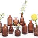 TBWIND 12-Piece Glass Bud Vase Set  Small Caramel Coffee Brown Etched Glass Vases with Unique Shapes and Weighted Base for Windowsills, Bathrooms, and Table Centerpiece Dcor