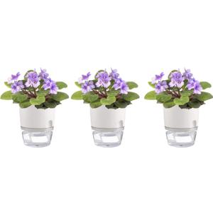 3.2 Inch Self Watering Planters Plastic Planter Pots 3 Pack Wicking Flower Pots Modern Decorative Planter for Small African Violets House Plants,Herbs,Indoor Outdoor Plant (White)