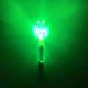 Bgary Lighted Nocks .204'' .244'' ID Led Archery Arrows Nocks 6Pcs for Hunting Shooting Practice (.204''/5.3mm Green)