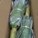 Artificial Plant Artificial Agave Plants,2PCS Faux Plants for Outdoors Artificial Plant Outdoor Large UV Resistant Fake Agave Planters for Indoor and Outdoor Decorating Outdoors Plants 22"