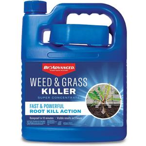BioAdvanced Weed & Grass Killer Super Concentrate, 64-Ounce