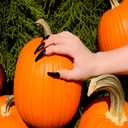 4 x Halloween Witch Costume Accessories Set - 10 Pcs Long Pointed Nails + 1 Long Nose Accessory, Scary Cosplay Props for Witches, Vampires & Zombies (Black)