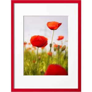 eletecpro 16x20 Picture Frame, Display Picture 11x14 with Mat or 16x20 No Mat, Red Christmas Frame Made of Engineered Wood and Clear Acrylic, Large Poster Frame for Gallery Wall Decor