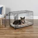 MidWest Homes for Pets 36-Inch iCrate for Medium-Large Breeds, 41-70 lbs, Double Door Folding Dog Crate with Divider Panel, Leak-Proof Tray & Secure Latches, Portable, Durable & Easy to Assemble