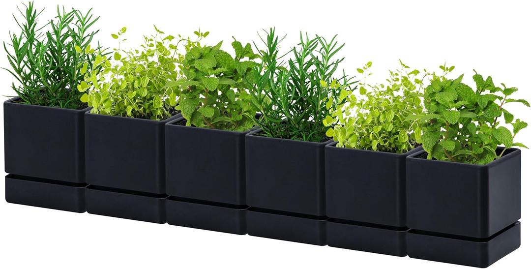 D'vine Dev 4 Inch Herb Planter Pot, Plastic Planter with Drainage Holes and Saucer, Modern Decorative Gardening Pot for Indoor Plants, Flowers, Herbs, Succulents, Black, Set of 6, 76-Y-B6-1