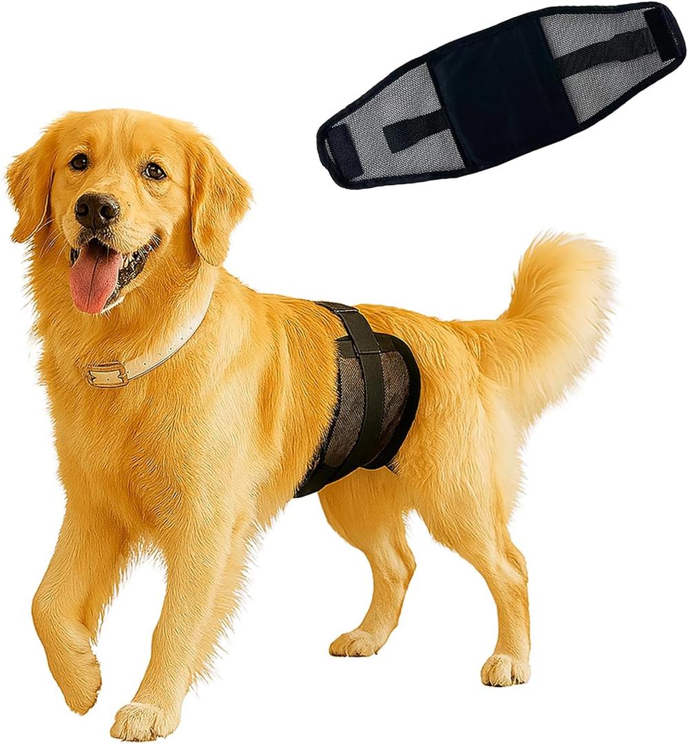 3-Pack Dog Diapers MaleReusable & Washable Belly Bands for Dogs, Breathable Air-Mesh Fabric,for Doggie in Incontinence or Excitable Urination and Training (Black, XL, Count, 3)