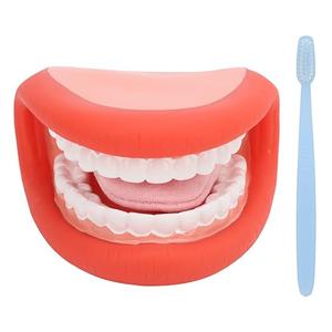 Educational Mouth Puppet with Tongue and Teeth Model Brush for Speech, Ideal for Boys and Girls Learning Tools