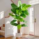 Tall Artificial Banana Tree Big Faux Tropical Bananas Trees Indoor Outdoor Realistic Floor Plant Large Fake Plants for House Home Living Room Office Front Porch Decor Outside Patio para decoracion