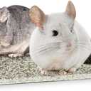 Chinchilla Cooling Stone Durable Cool Down Easy Clean in Hot Summer for Rabbit Hamster Guinea Pig Chinchilla Kitten Small Animals Spots of Gold-Grey