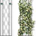 2 Pack 4' H x 10" W Metal Arched Garden Trellis for Potted Climbing Plants Outdoor Rustic Black Coating Iron Wire Lattices Grid Panels for Vine Pergola Cucumbers Vegetables Flower Support, 47.64 H x 10 W inches