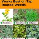 Craft911 Stand Up Weed Puller Tool with Long Handle - Dandelion Weeding Tool, No More Bending