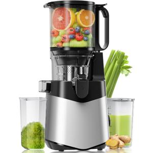 Cold Press Juicer, 5.3" Extra Large Feed Chute Fit Whole Fruits & Vegetables, 350W Slow Masticating Juicer Machines, Easy to Clean, High Juice YieldSilver