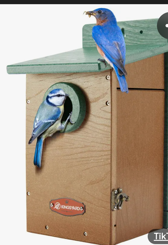 Kingsyard Recycled Plastic Bird House for Outdoor - Durable Nesting Box with Clear View Panel & Predator Guard for Bluebird Wren Swallow Finch, Green & Brown