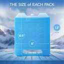 Everlasting Ice RX Large Reusable Ice Packs for Cooler with Handle (4 Pack) Long Lasting Coolness, BPA Free, Freezer Packs for Extended Cooling | Cooler Ice Packs for Camping, Fishing, Hiking, Beach