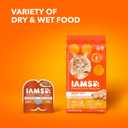 IAMS Proactive Health Adult Healthy Dry Cat Food with Chicken, 3.5 lb. Bag (3.5 Pound (Pack of 1))