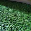 HQ4US 4LEGS Odorless Artificial Grass Mats Dog & Cat Potty Training System with Tray, Large