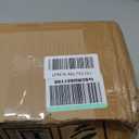 Artificial plant, 3 FT