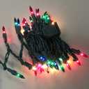 50-Count Multicolor Christmas Lights with Green Wire,Mini String Lights for Holiday Decorations, Christmas Tree Lights, Holiday Party, Wedding, Xmas, Home, Indoor & Outdoor Use (13ft Long)