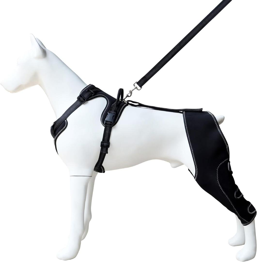 Adjustable Dog Knee Brace with Leash, Hind Leg Support for Joint Pain, ACL Injury Recovery, Anti-Lick Wrap Harness Set (Black, L)