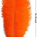 THARAHT Orange Ostrich Feathers 12pcs Large Natural Bulk 16-18Inch 40cm-45cm for Wedding Party Centerpieces Halloween and Home Decoration Feathers