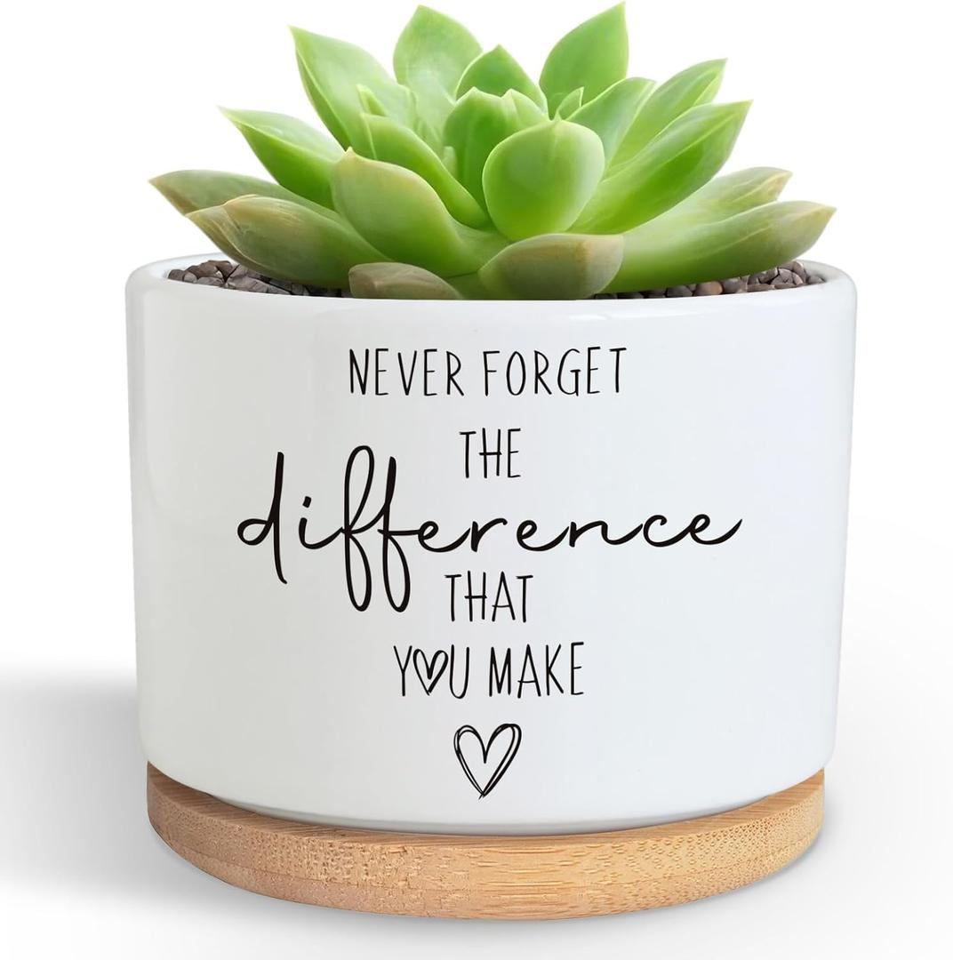 DOFAFALA Funny Planter Succulent Flower Pot, Flower Cactus Planter Gifts, Appreciation Inspirational Gifts for Plant Lovers Women Men Coworkers Home Office Decor (No Plants)
