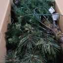 National Tree Company 7.5 ft Pre-Lit Carolina Pine Artificial Christmas Tree, 1,000 Clear Lights, 1,399 Tips, Includes Stand, Green