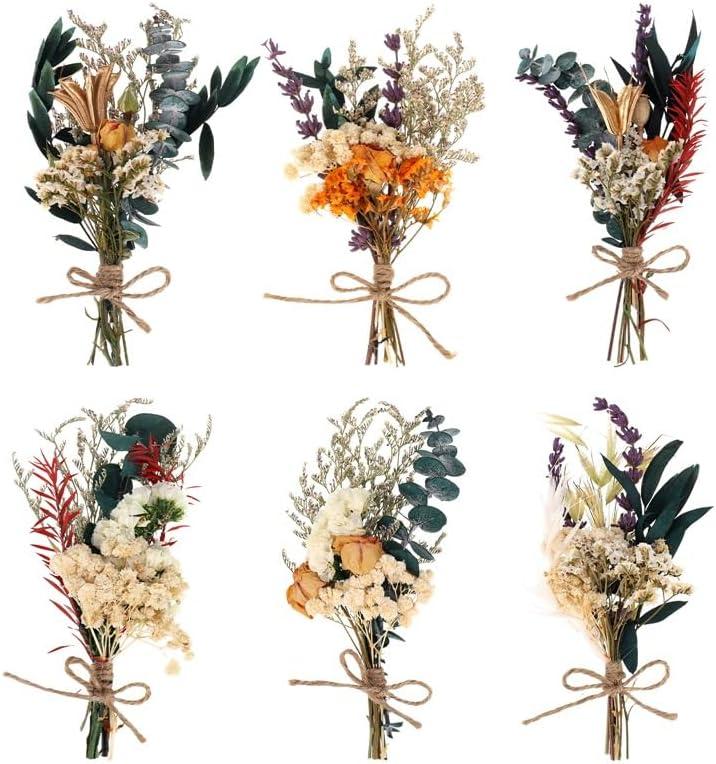 Fuyamp Mini Boho Dried Flower Bouquet Set of 6 Natural Dried Flowers Small Bouquets Real Plants Bundle Bohemian Flower for Wedding Photo Frame Gift Box Home Vase Decorations DIY Craft(About 5-7'') (Multi Color)
