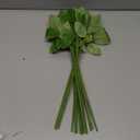 20PCS Floral Wire Stem with Leaves and 20PCS Artificial Flower Calyxes Set, for Floral Rose Arrangement, DIY Craft Bouquet Making, and Florist Supplies